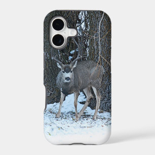 Tall rack buck