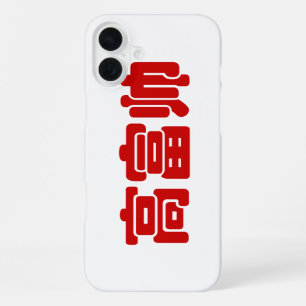 Tall, Rich & Handsome 高富帅 Chinese Hanzi MEME iPhone 16 Plus Case