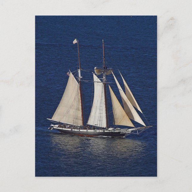 Tall Ship Postcard (Front)