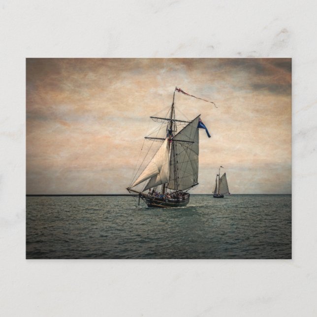 Tall Ships Festival Postcard (Front)
