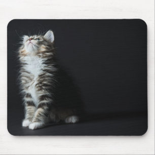 Tall Tabby Mouse Pad
