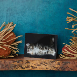 Tall Tabby Plaque