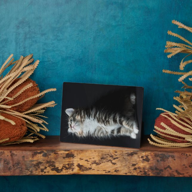 Tall Tabby Plaque (Side)