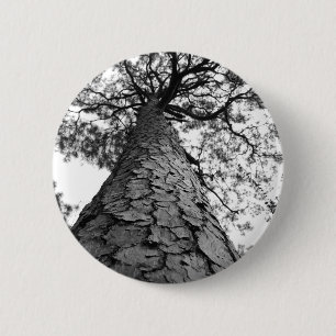Tall Tree BW 2 Inch Round Button