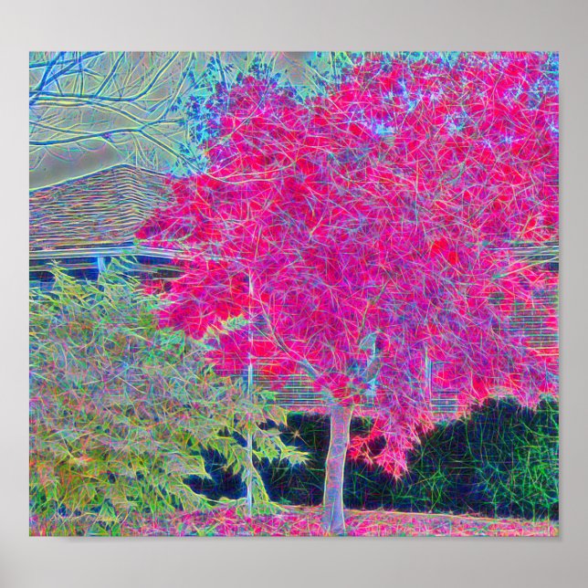 Tall Tree Digitally Painted Poster (Front)