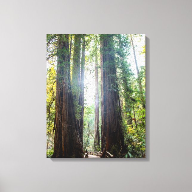 Tall Trees Canvas Print (Front)