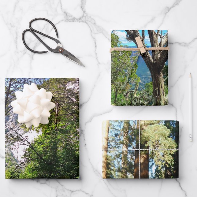 Tall Trees Decorative Decoupage High Quality Triad Wrapping Paper Sheet (Front)