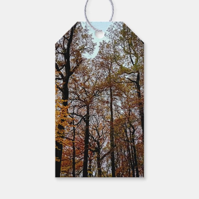 Tall trees gift tags (Front)