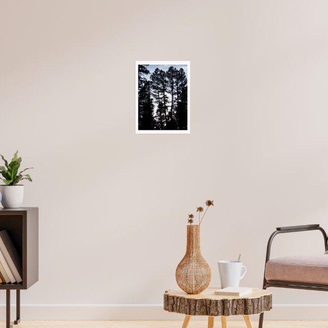 Tall Trees in Colorado Mountains Poster (Living Room 3)