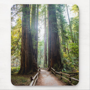 Tall Trees Mouse Pad