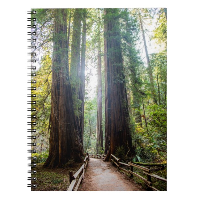 Tall Trees Notebook (Front)