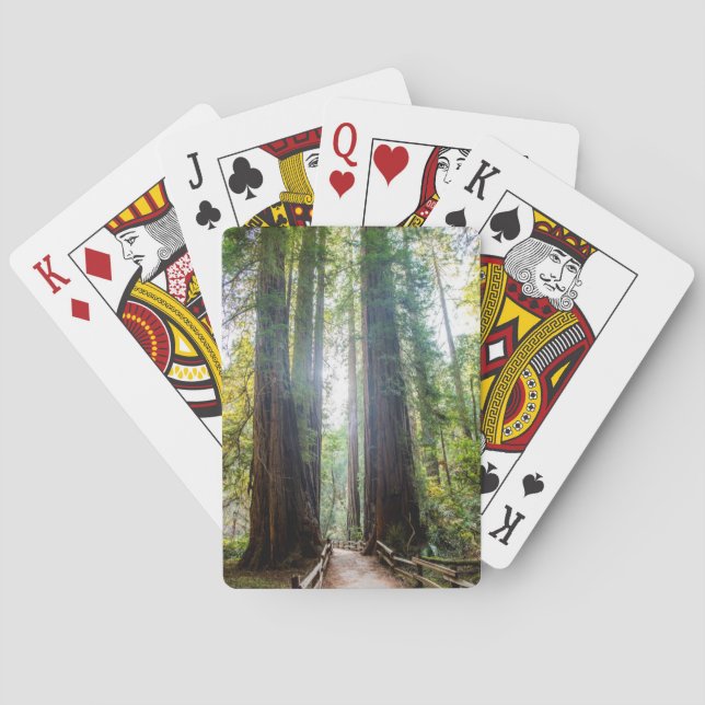 Tall Trees Playing Cards (Back)