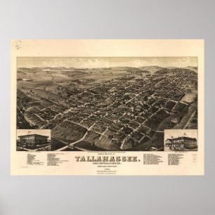 Tallahassee Florida 1885 Antique Panoramic Map Poster