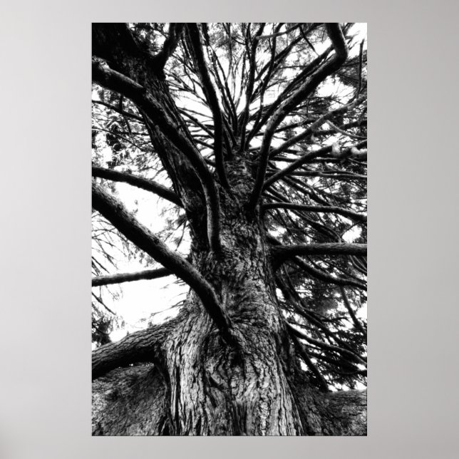 Taller Than You Think Poster (Front)