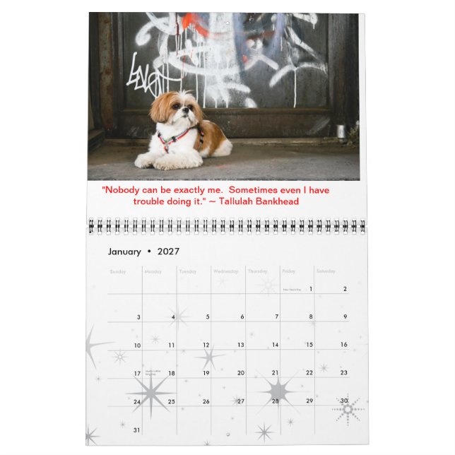 Tallulah Bean Calendar Cute Shih Tzu 2014 (Jan 2027)
