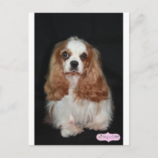 Tallulah Postcard