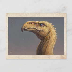 Talon's Head - Postcard