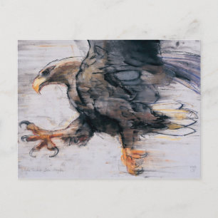 Talons - White tailed Sea Eagle 2001 Postcard