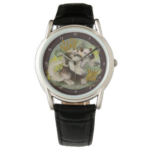 Tamandua Anteater Watch