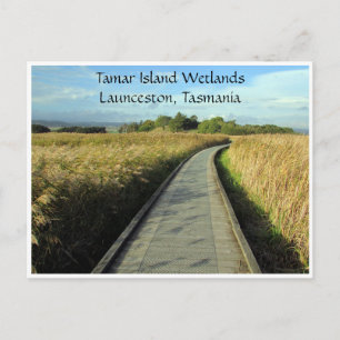 tamar wetlands paths postcard