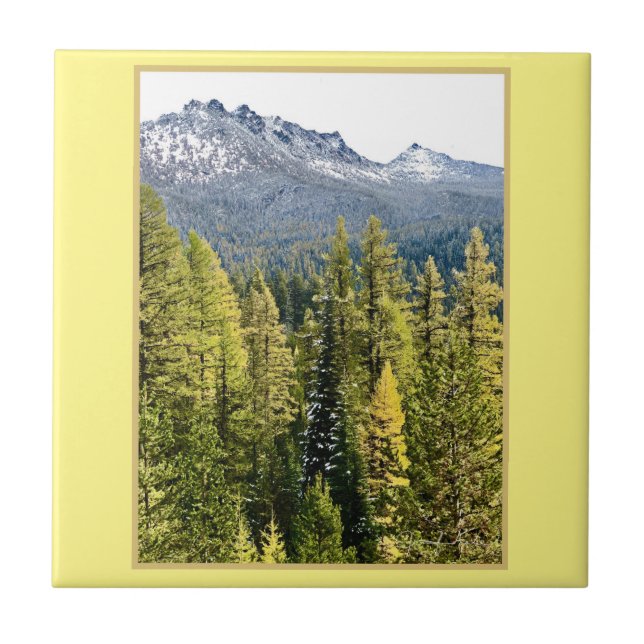 Tamarack Gold Tile (Front)