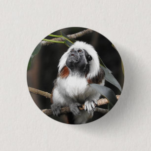 Tamarin Badge 1 Inch Round Button