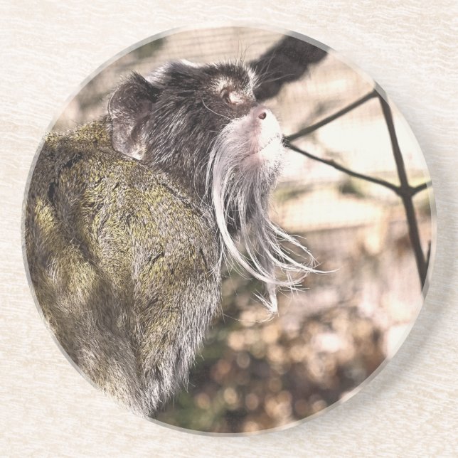 TAMARIN MONKEY   COASTER (Front)