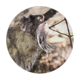 TAMARIN MONKEY  CUTTING BOARD