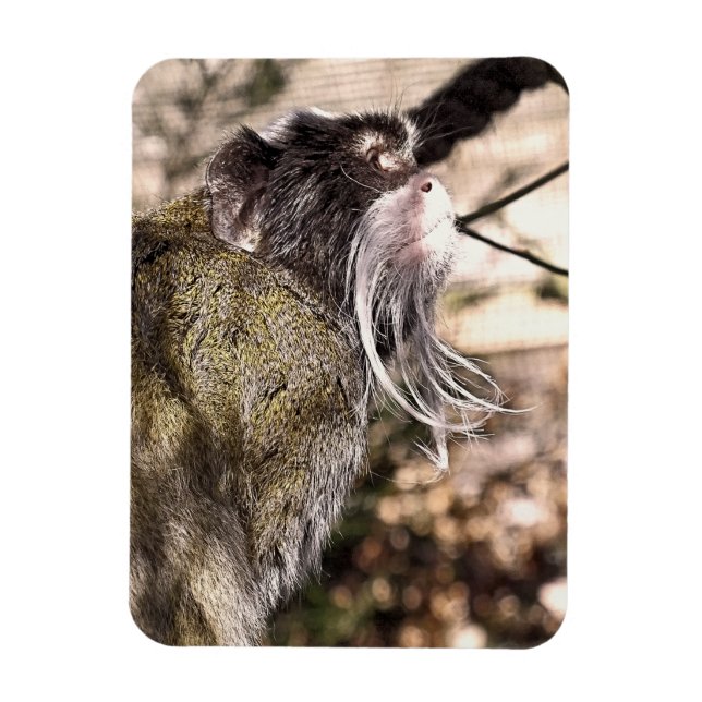 TAMARIN MONKEY  MAGNET (Vertical)