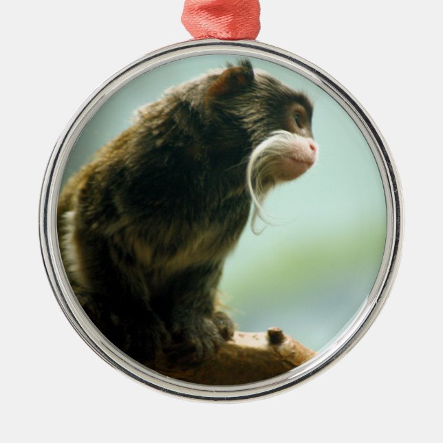 Tamarin Monkey Metal Ornament (Front)