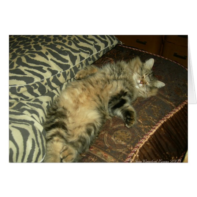 Tambour rhum (Devant horizontal)