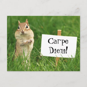 Tamia de Carpe Diem avec la carte postale de signe