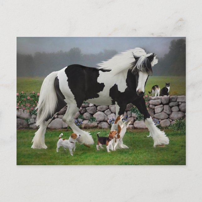 "Tamlin and the Pups" Postcard (Front)