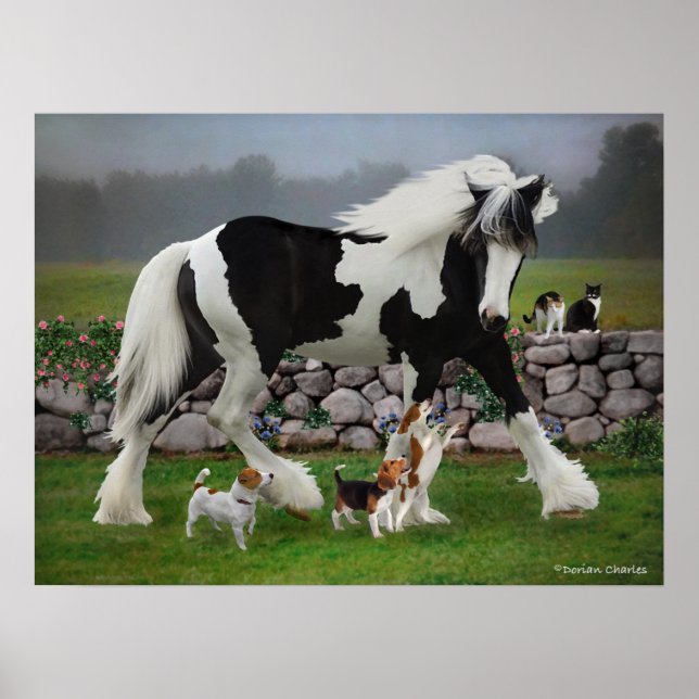 "Tamlin & The Pups"  Poster (Front)