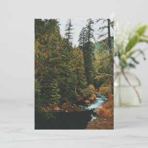 Tamolitch Falls ( Blue Pool)    Holiday Card