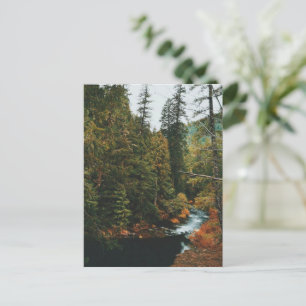 Tamolitch Falls ( Blue Pool)    Holiday Postcard