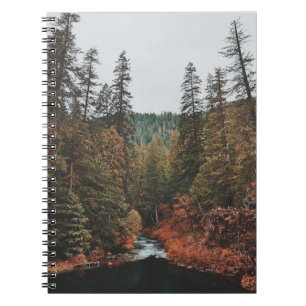 Tamolitch Falls ( Blue Pool) Notebook