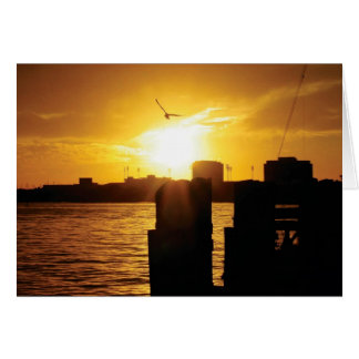 Tampa Bay