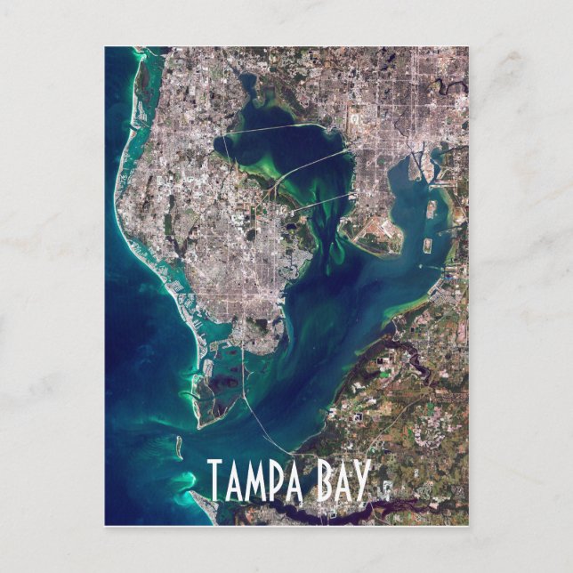 Tampa Bay Florida Satellite Image Postcard (Front)