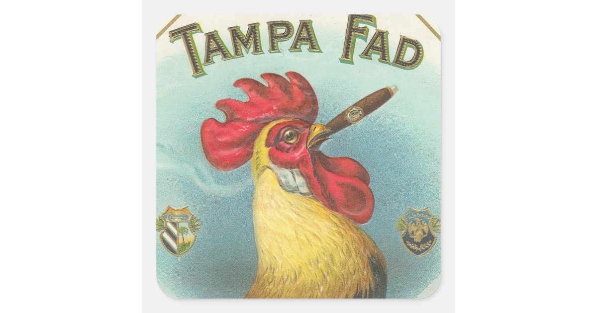 Tampa Fad Square Sticker | Zazzle