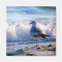 Tampa, FL fridge magnet