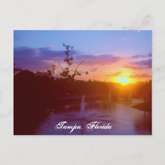 Tampa Florida Postcard (Front)