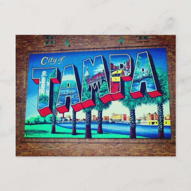 Tampa Florida Postcard (Front)