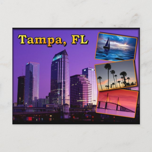 Tampa, Florida - the sunshine state Postcard (Front)