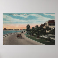 Tampa, Florida - View of Bayshore Blvd