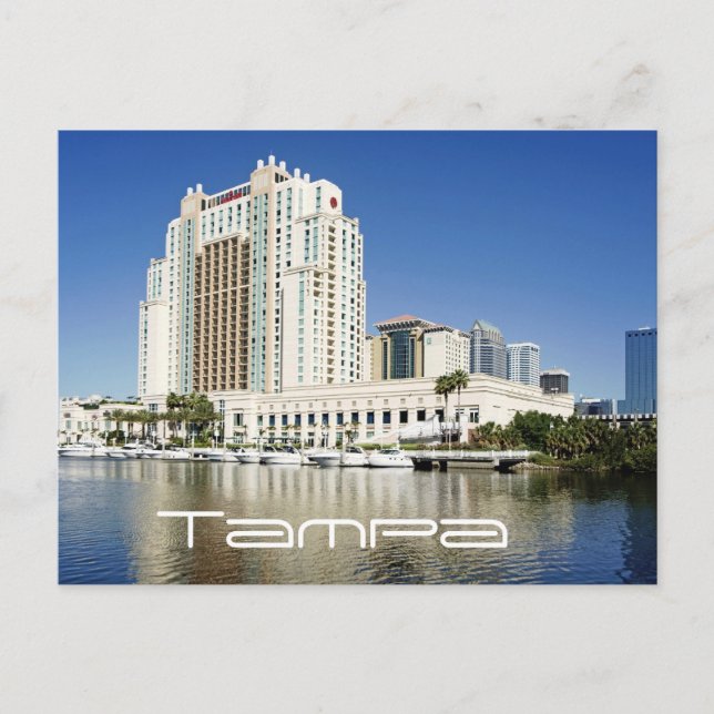 Tampa, Marriott, Waterside, Hotel & Marina Postcard (Front)
