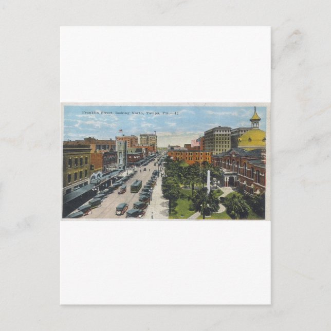 tampa postcard (Front)