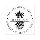 Adresse de retour de la ronde d'ananas tropicale