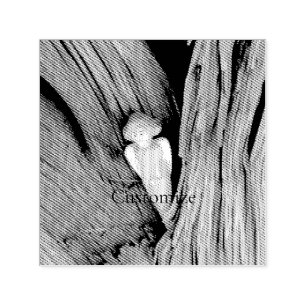 Tampon Auto-encreur Ange sculpté dans l'arbre Thunder Cove