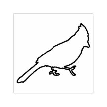 Cardinal masculin contour en caoutchouc